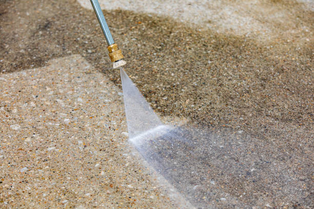 Best Roof Washing  in Onawa, IA
